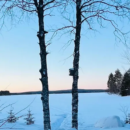 Naava * Rovaniemi