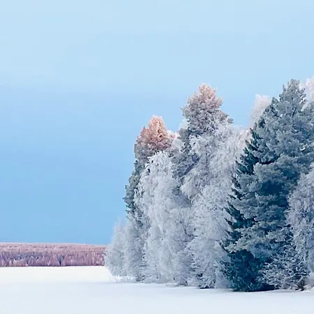 Naava Villa Rovaniemi